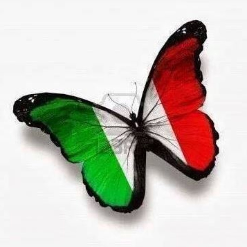 Meet your Posher, Livi